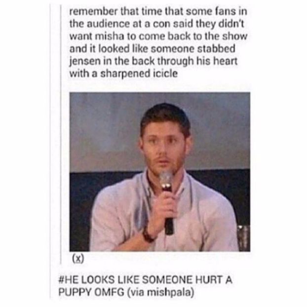who doesn t want misha - might be a sinner might be a saint