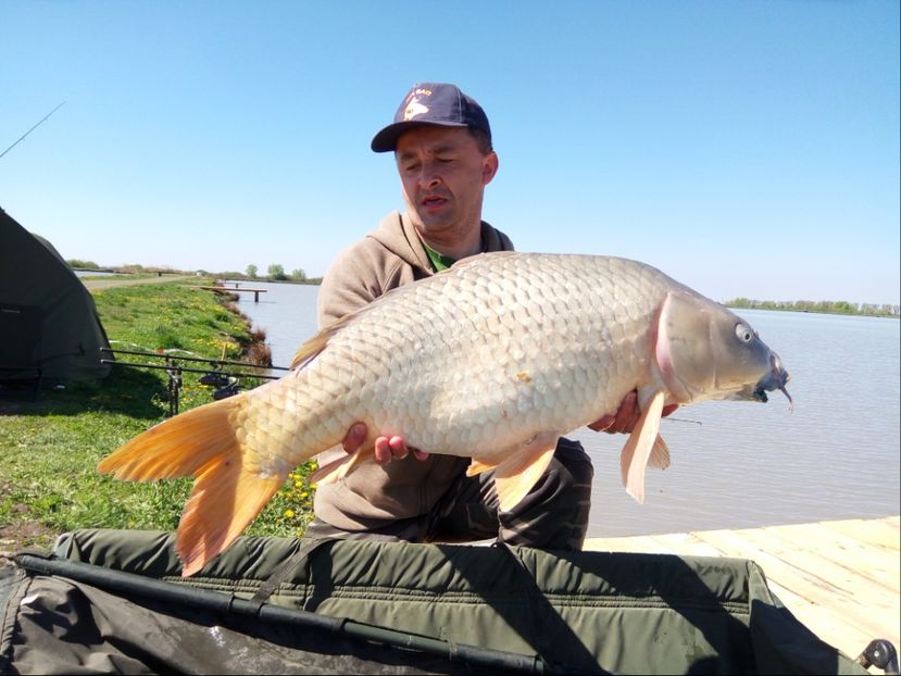 Sacos aprilie 2017 - Capturi-pesti