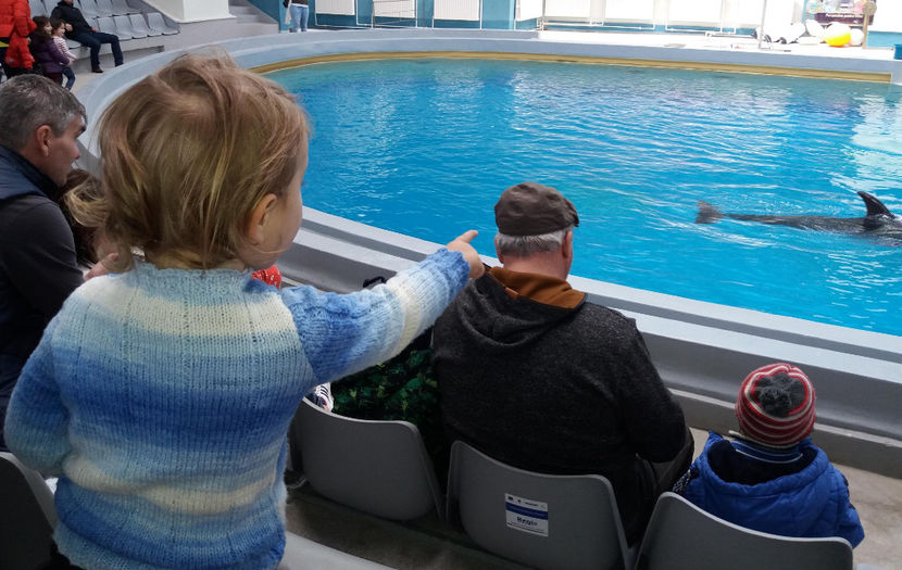 delfinariu2017 - Marea Neagra_Dobrogea