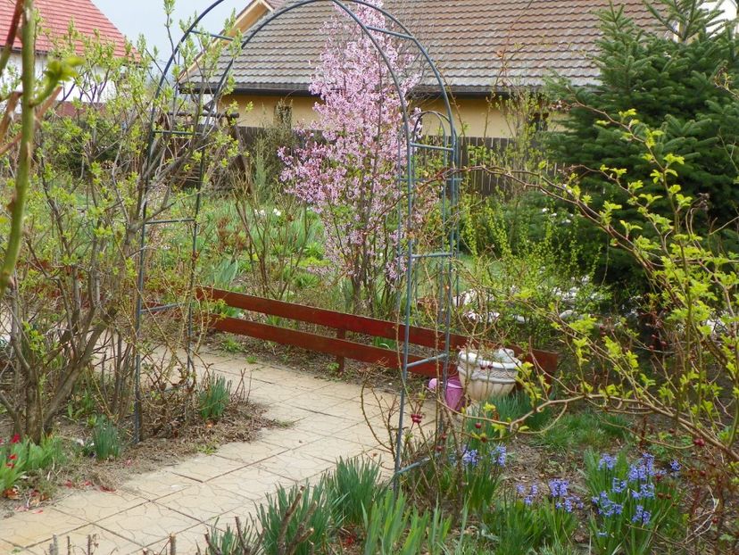 7 apr (44) - Gradina 2017