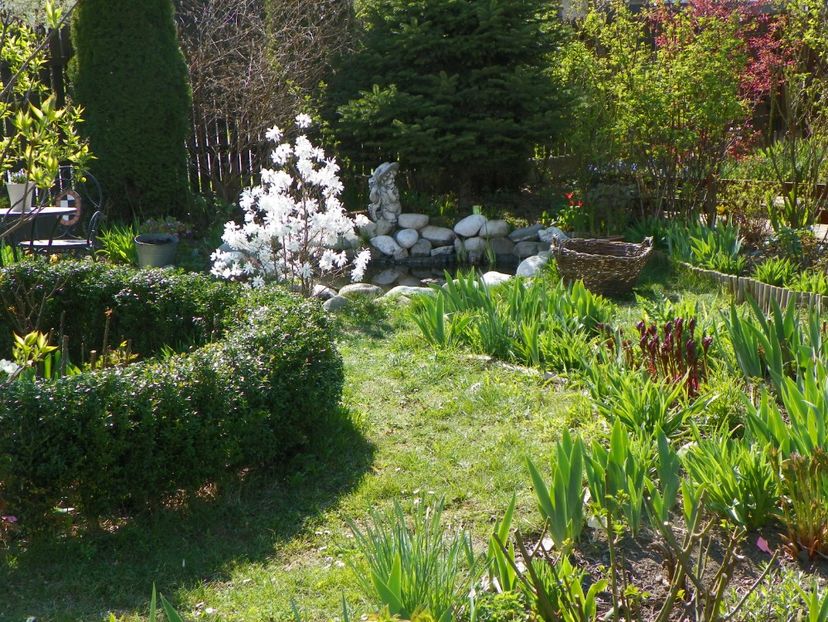 11 apr (39) - Gradina 2017