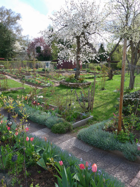 P2060762 - 2017 - 01 - Primavara