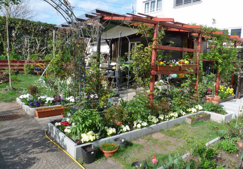 P2060763 - 2017 - 01 - Primavara