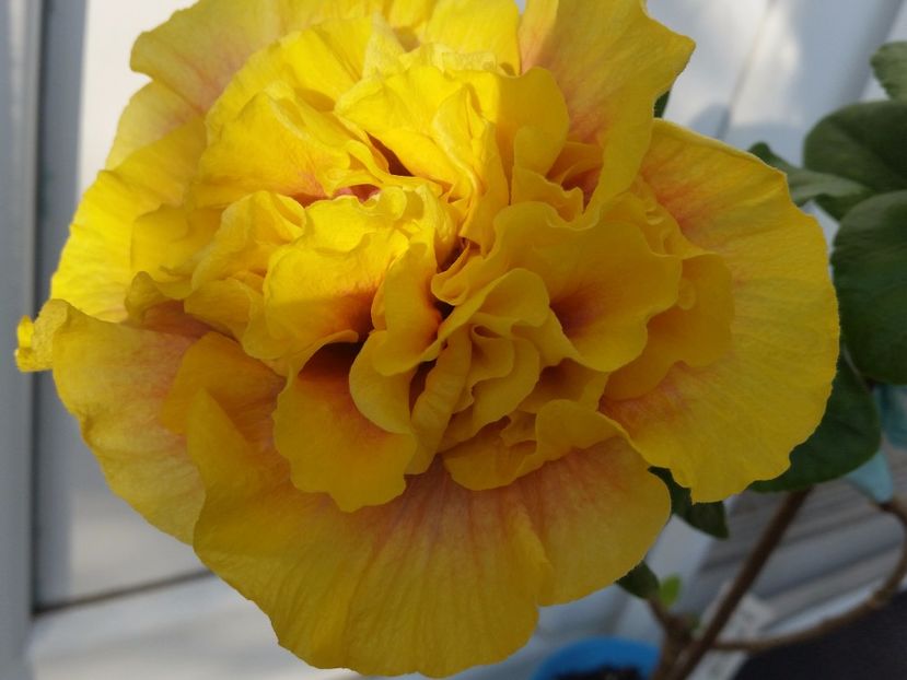 12-04-2017 - Gator magic