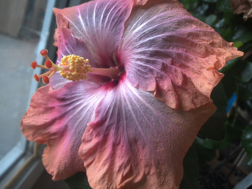 WIN_20170412_153000 - Gabriel