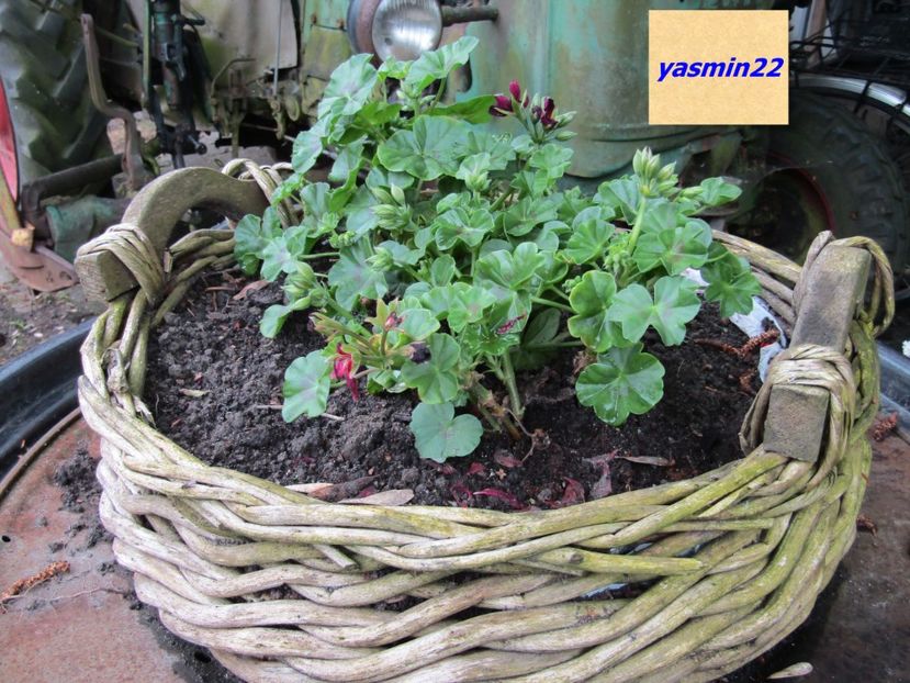 26.05.2016 - Deco Vechituri