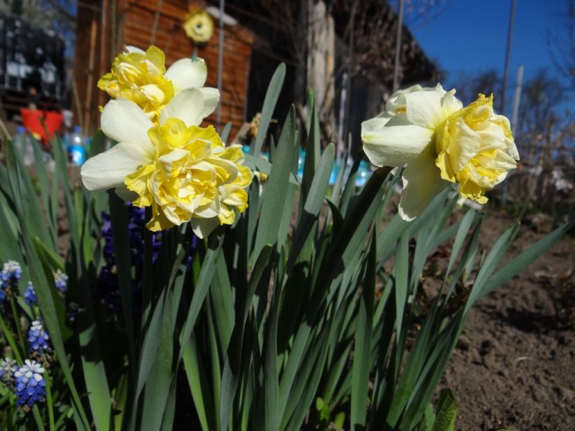  - E primavara iarasi primavara