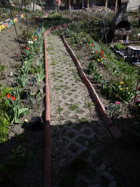  - E primavara iarasi primavara