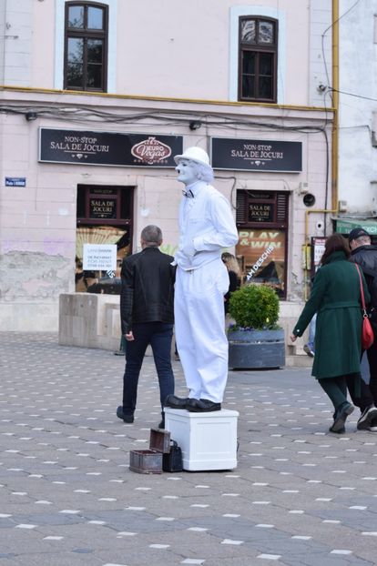  - 2017 TIMISOARA CENTRU SI PARCUL CLABUCET