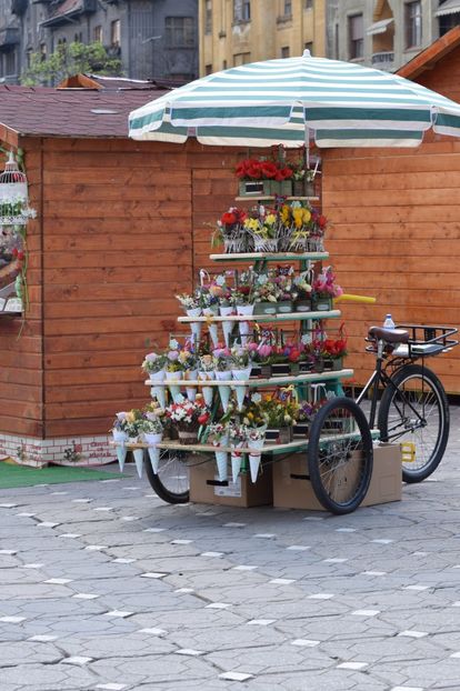  - 2017 TIMISOARA CENTRU SI PARCUL CLABUCET