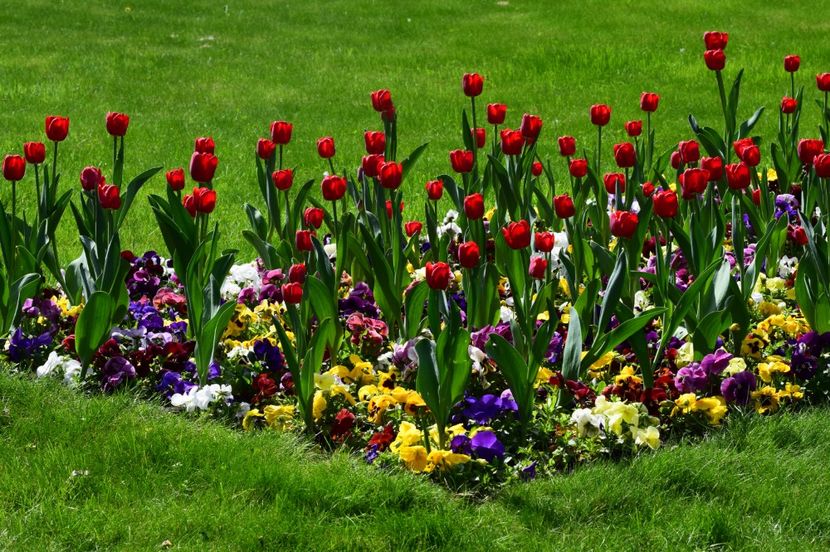  - 2017 TIMISOARA CENTRU SI PARCUL CLABUCET