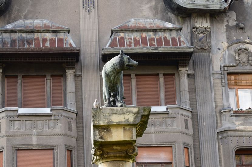  - 2017 TIMISOARA CENTRU SI PARCUL CLABUCET