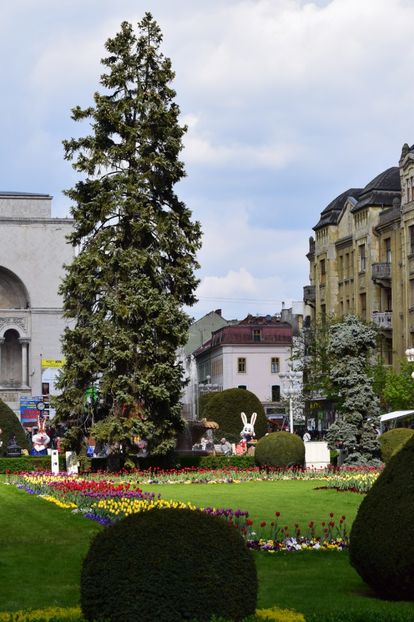  - 2017 TIMISOARA CENTRU SI PARCUL CLABUCET