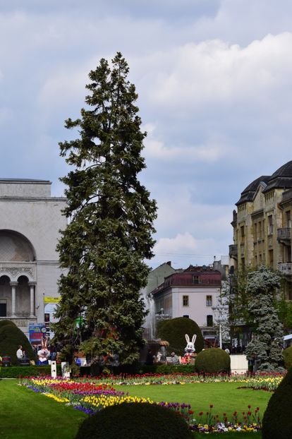  - 2017 TIMISOARA CENTRU SI PARCUL CLABUCET
