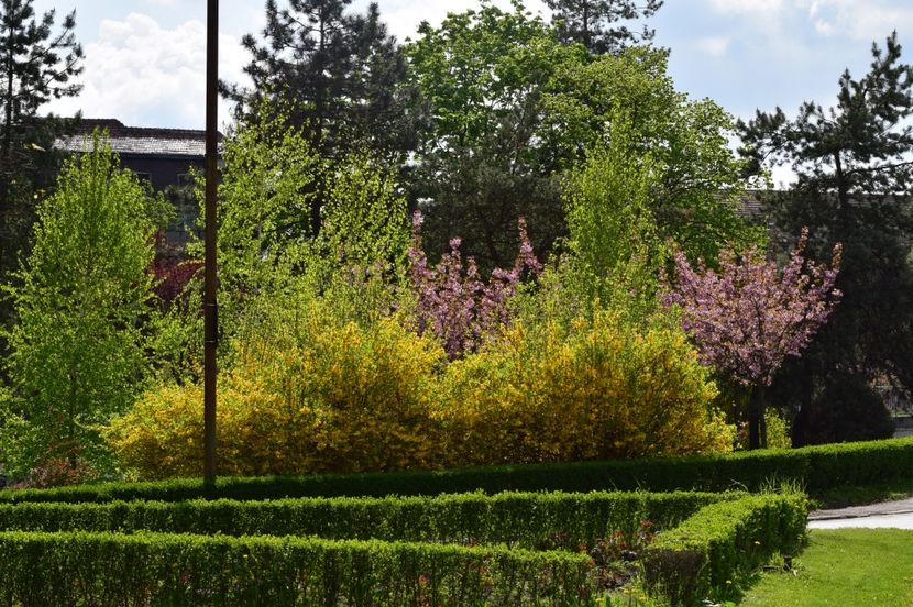  - 2017 TIMISOARA CENTRU SI PARCUL CLABUCET