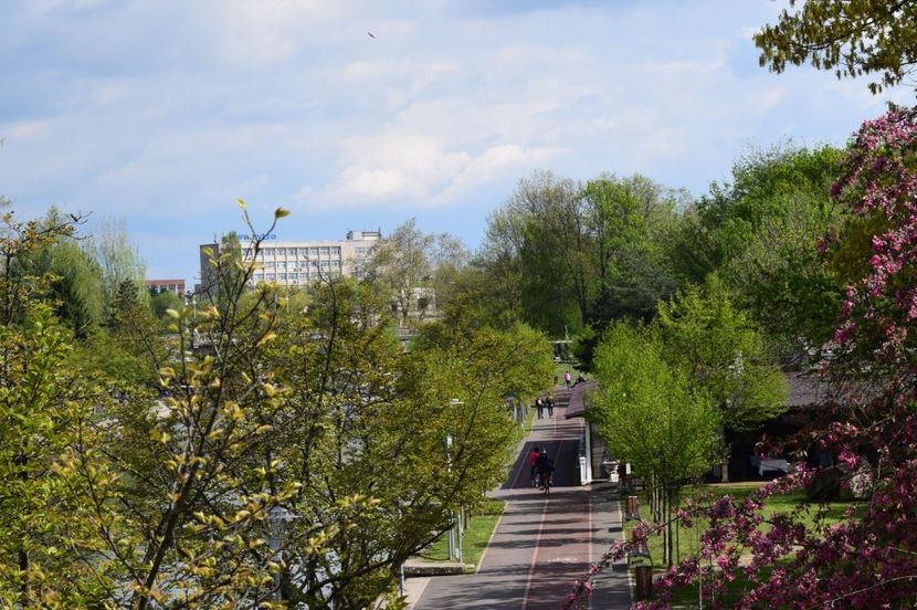  - 2017 TIMISOARA CENTRU SI PARCUL CLABUCET
