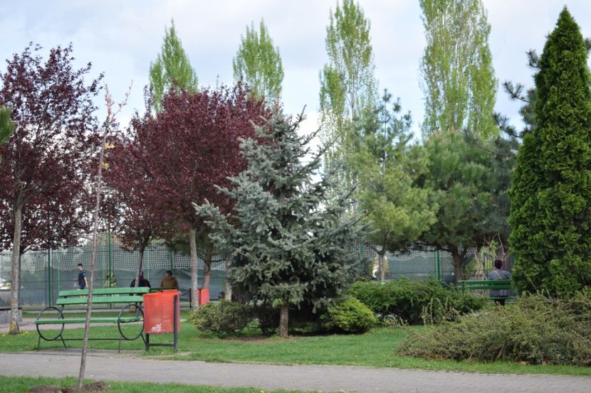  - 2017 TIMISOARA CENTRU SI PARCUL CLABUCET