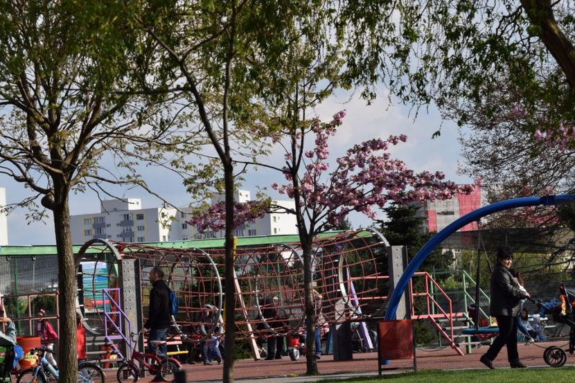  - 2017 TIMISOARA CENTRU SI PARCUL CLABUCET