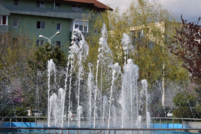  - 2017 TIMISOARA CENTRU SI PARCUL CLABUCET