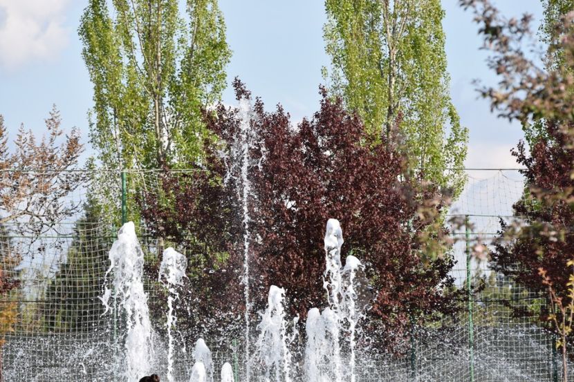  - 2017 TIMISOARA CENTRU SI PARCUL CLABUCET