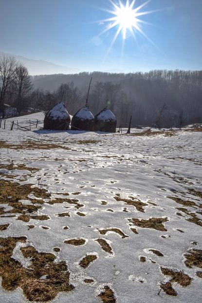  - Photo 06