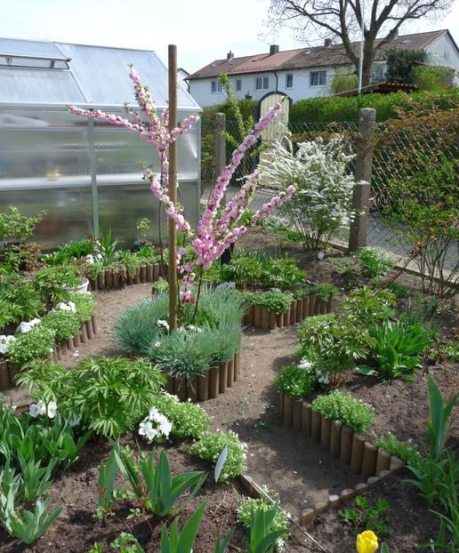 P2060912 - 2017 - 01 - Primavara