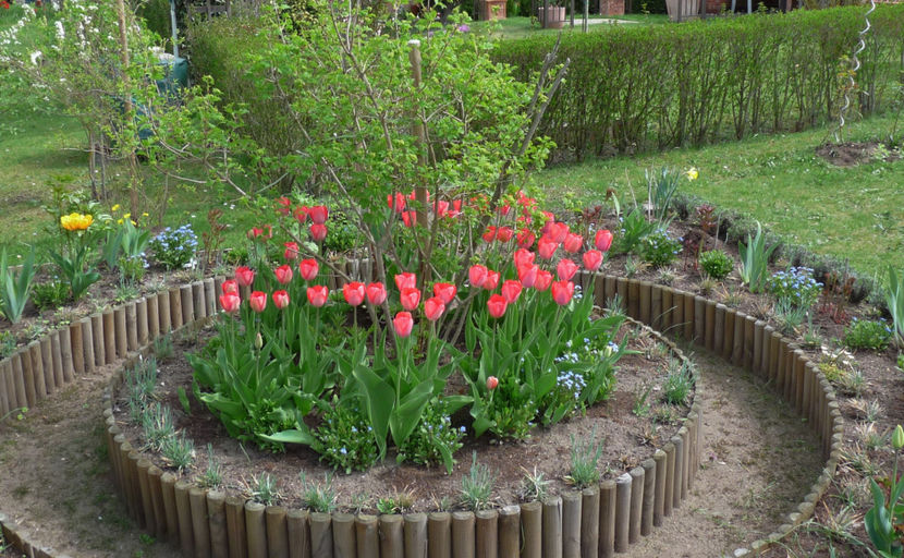 P2060945 - 2017 - 01 - Primavara