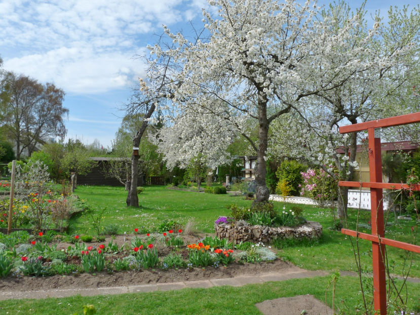 P2060958 - 2017 - 01 - Primavara