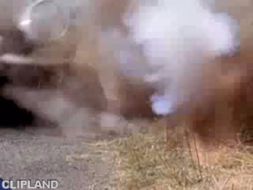 Beastie Boys - Beastie Boys Part 1