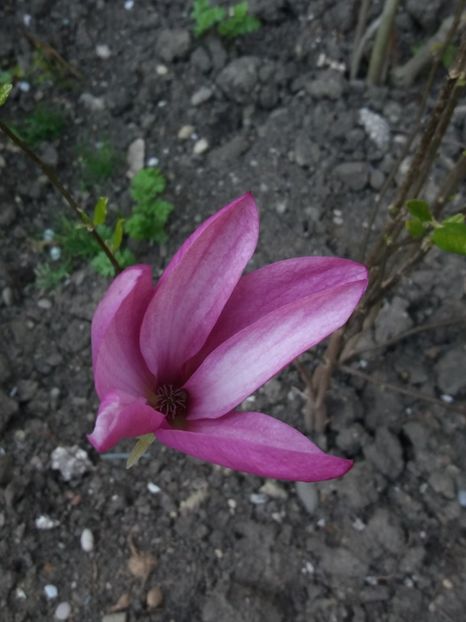  - outdoor