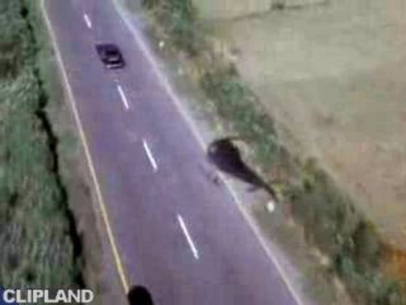 Beastie Boys - Beastie Boys Part 1