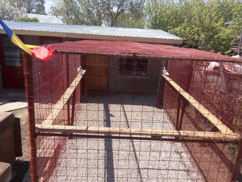  - Noua voliera Cu incalzire centrala