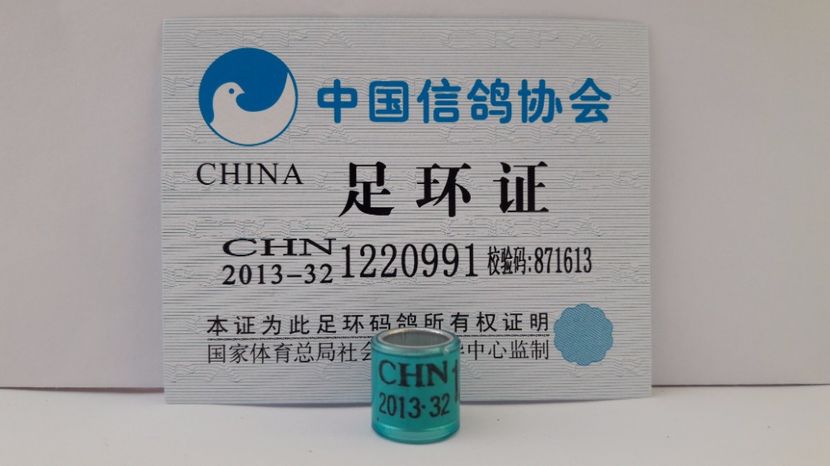 CHN 2013-32 - CHINA - CHN