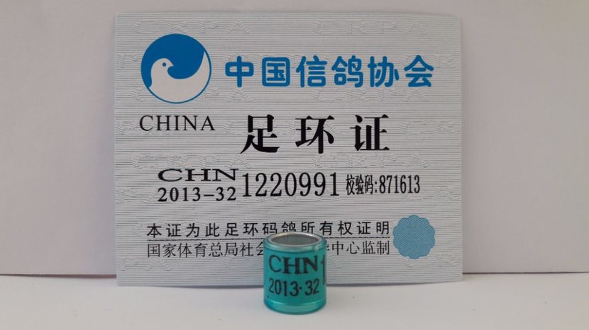 CHN 2013-32 - CHINA - CHN