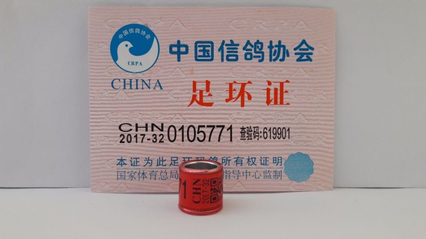 CHN 2017-32 - CHINA - CHN