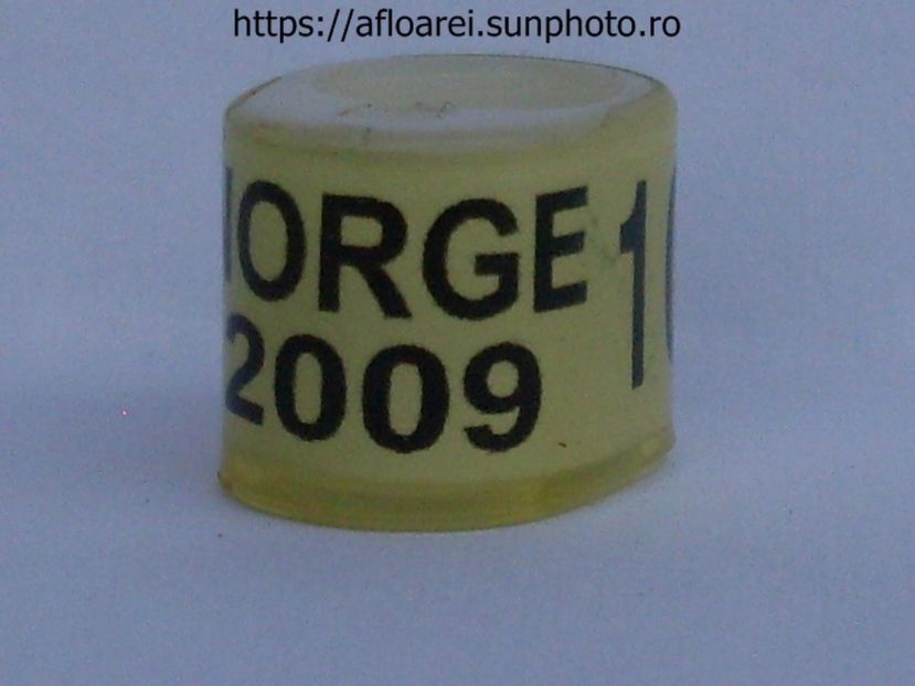 NORGE 2009 - NORVEGIA