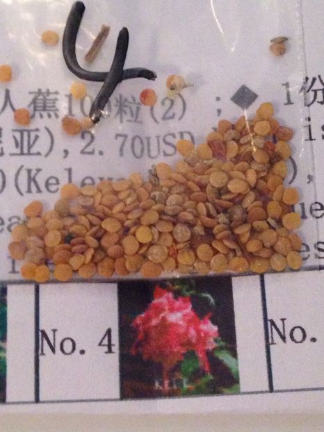  - Achizitii FLORI 2017