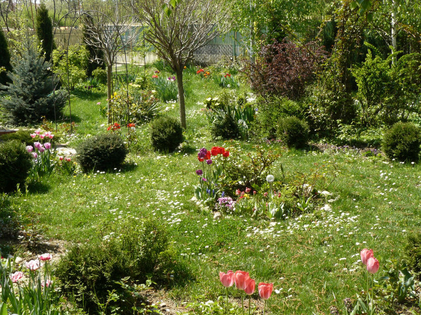 P1260450 - 2017_Aprilie_Gradina Rozelor