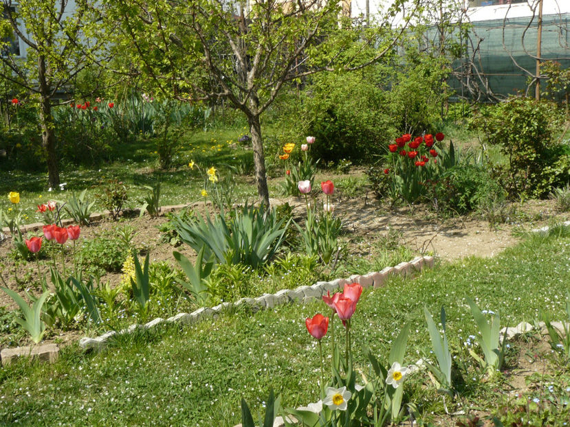 Van Eijk - 2017 Aprilie_Idilic Garden
