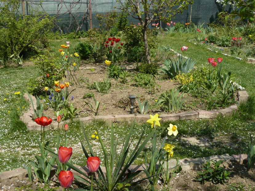 Van Eijk si Apeldoorne - 2017 Aprilie_Idilic Garden