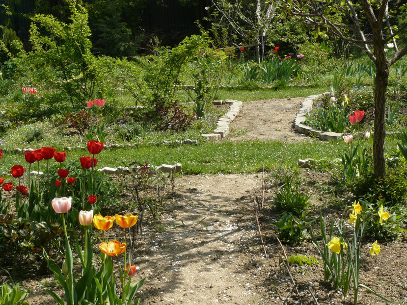 Olioulles si Apeldorne Elite - 2017 Aprilie_Idilic Garden