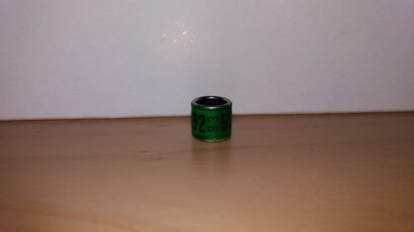  - Inele Germania - 52 piese