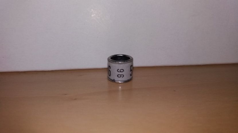  - Inele Germania - 52 piese