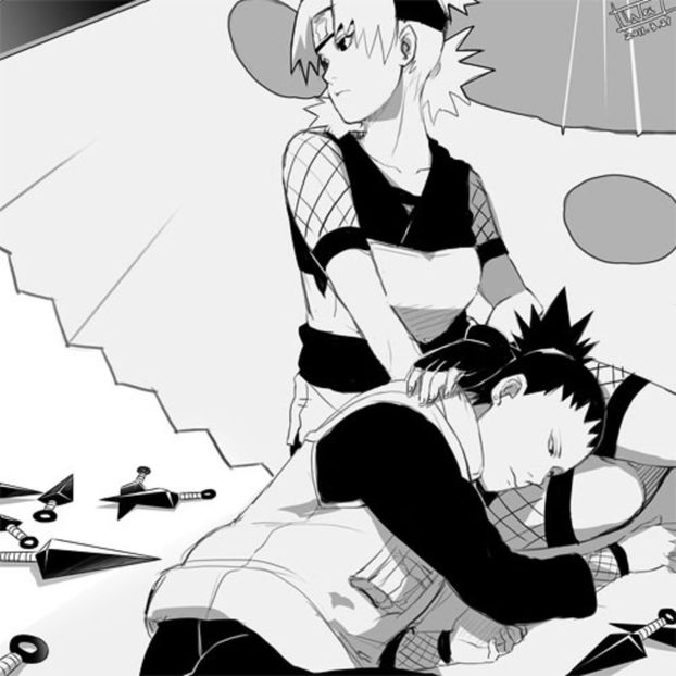 Temari x Shikamaru - 100 Days - Anime Couples