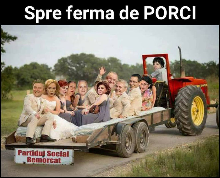  - Poze haioase pamflet