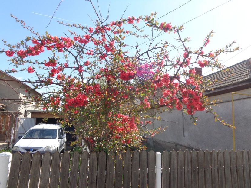  - Pe dealurile din Filipestii de Padure