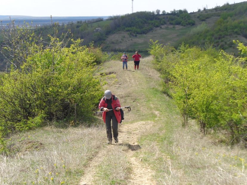  - Pe dealurile din Filipestii de Padure