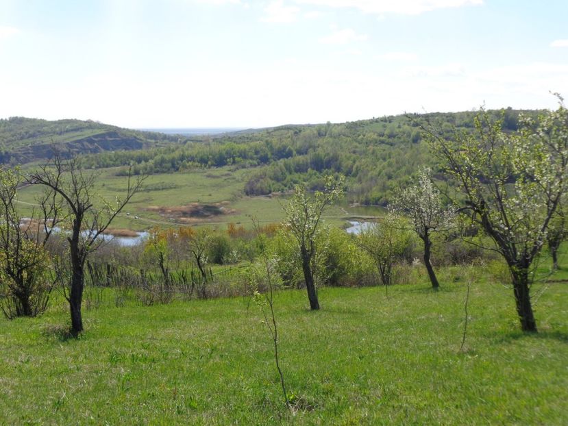 si apar niste lacuri frumoase unde sunt masini - - Pe dealurile din Filipestii de Padure