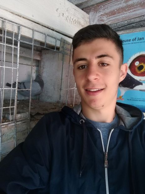  - 16-04-2017 Reproductia merge bine