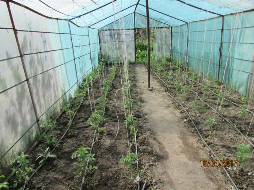  - DIN GRĂDINA DE FLORI ȘI LEGUME - 2017